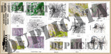 Allied Maps - WW2 - North-Eastern France - 1/35 Scale - Duplicata Productions
