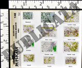 Allied Maps - Central Belgium - WW2 - 1/48 Scale